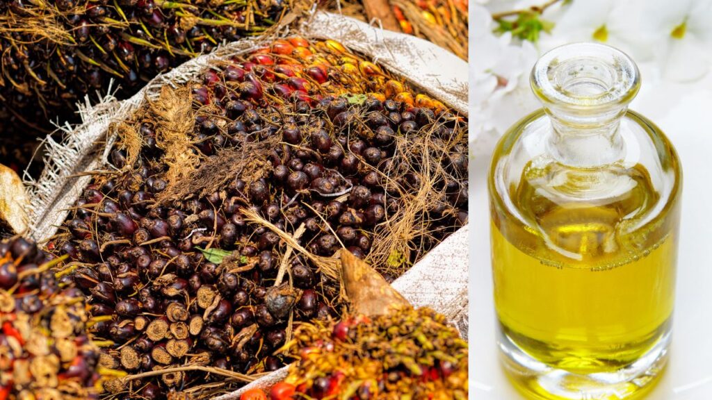 How Cooking Oils Affect Cholesterol