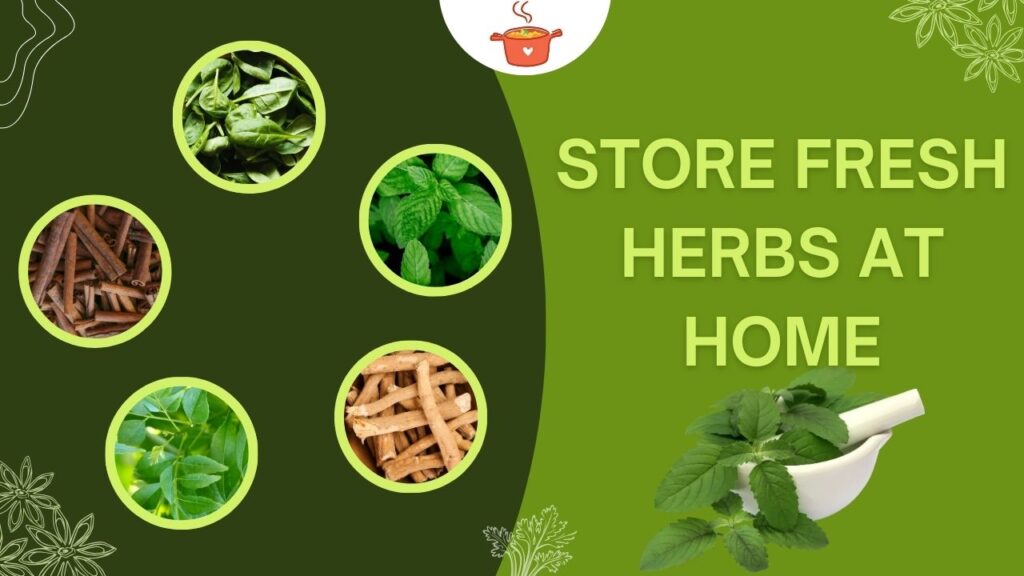 How to Properly Store Fresh Herbs at Home
