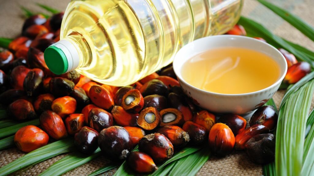 When Was Cooking Oil Invented