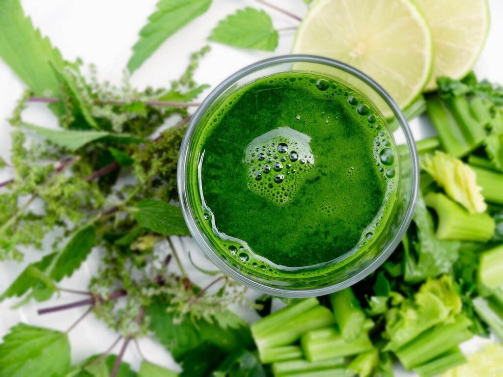 Healthy Smoothie Recipes